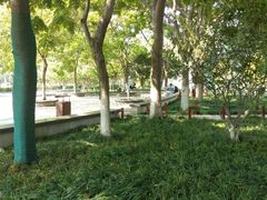 -后襄河公园