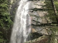-内乡宝天曼生态旅游区
