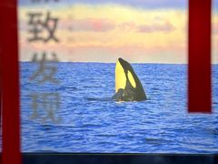 -福州海峡文化艺术中心