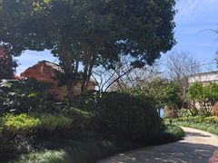 -绿城千岛湖喜来登度假酒店