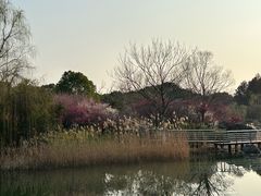 -阳澄湖半岛旅游度假区