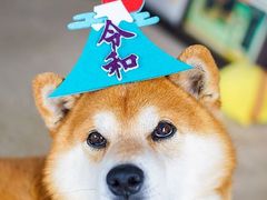 -台场海滨公园船码头