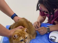 -美联众合动物医院·24h京西诊疗中心