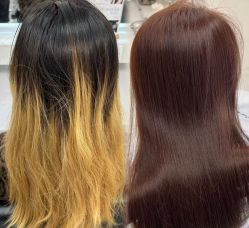 -东方麒麟·潘多拉SALON