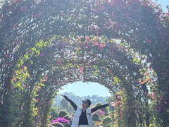 -东莞植物园