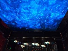 -屋有岛沉浸游戏旗舰店(中山公园店)