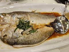 -川林海鲜酒家·湾仔传统早茶·粤菜