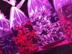 -中环花鸟鱼虫市场