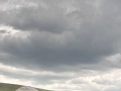 -山丹皇家马场