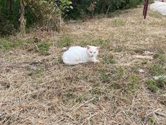 -鬼笑石后山停车场