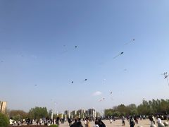-丁香湖公园