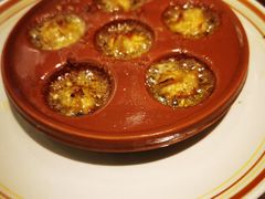 蒜香蜗牛-萨莉亚意式餐厅(龙阳广场店)