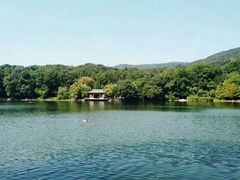 -紫霞湖公园