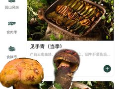 -芸山季·云南山珍菌火锅(人民广场来福士店)