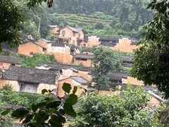 -杨家堂村