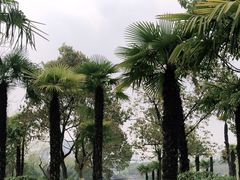 -黄兴公园