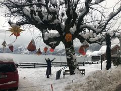 -布劳伽斯特豪夫哈尔施塔特宾馆