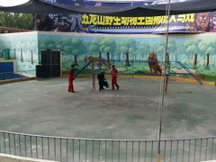 -五龙山野生动物王国