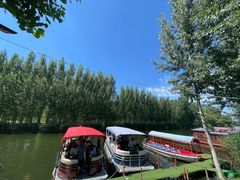 -白洋淀风景区