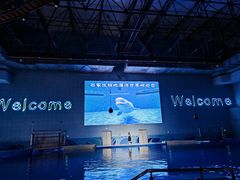 -石家庄极地海洋世界