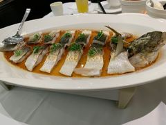 清蒸鲻鱼-西湖春天•老字号杭州菜(百汇店)