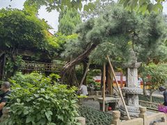 -龙华寺