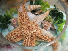 -宁波阳光豪生大酒店·豪生咖啡厅