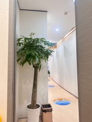 -郑荃丽格医疗美容