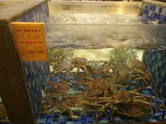 -顺峰(南二环店)