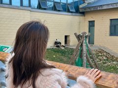 -石家庄市动物园