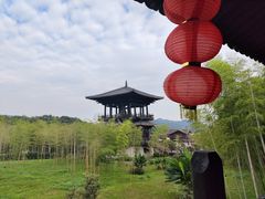 -大唐贡茶院
