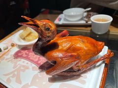 红烧乳鸽-大鸽饭(北京路店)
