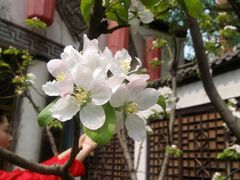 android_upload_pic-雲顺·花菇朵·野生菌锅·云南美食(万柳店)