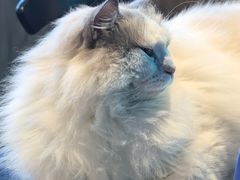 -暗楼·剧本杀·桌游