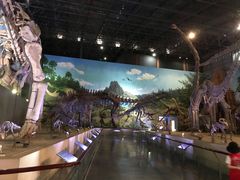-中国西峡恐龙遗迹园
