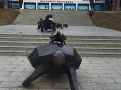 -广东惠东海龟国家级自然保护区