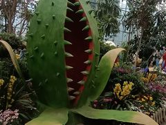 -沈阳植物园