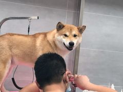-宠福鑫康馨动物医院·骨科·眼科