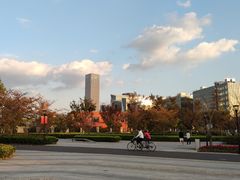 -上海山野camping·户外天幕烧烤·团建拓展营地