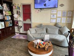 -宠爱国际动物医院·消化内科·心肾内科·ISFM猫友好(望京店)