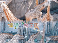 -长鹿旅游休博园