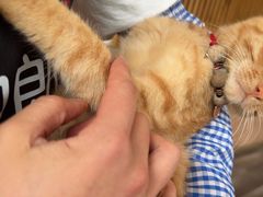 -四姑娘山阿巴郎·藏式花园餐厅