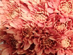 -凯德广场(西城店)