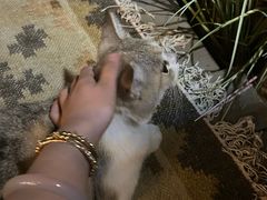 -六阅·福十 FORTEN 海景咖啡西餐厅(双廊古镇店)