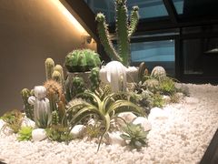 -大树餐厅(红旗街万达店)