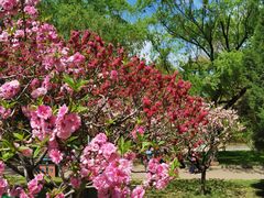 -莲花池公园
