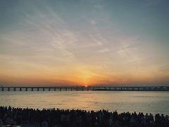 -宝安西湾红树林湿地公园