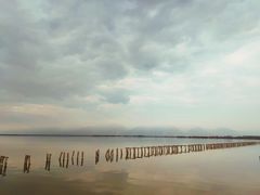 -哈素海