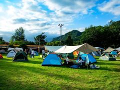 -桤木河湿地公园