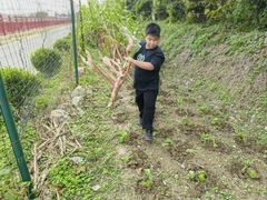 -樂桃源奉贤黄桃种植采摘基地